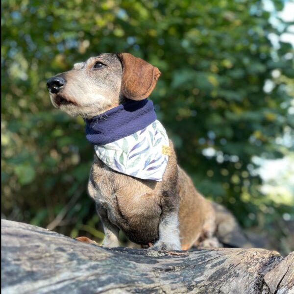 Bestickbares Bandana Hundehalstuch Seegras zum knoten - Image 6